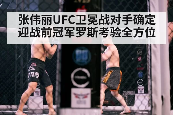 MMA cage fight